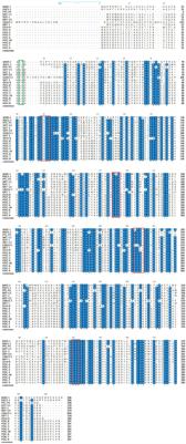 Identification and characterization of a novel β-lactamase gene, blaAMZ–1, from Achromobacter mucicolens